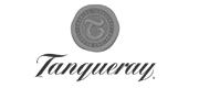 Tanqueray gin